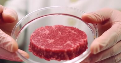 Estado actual del venture capital en la industria de la carne cultivada